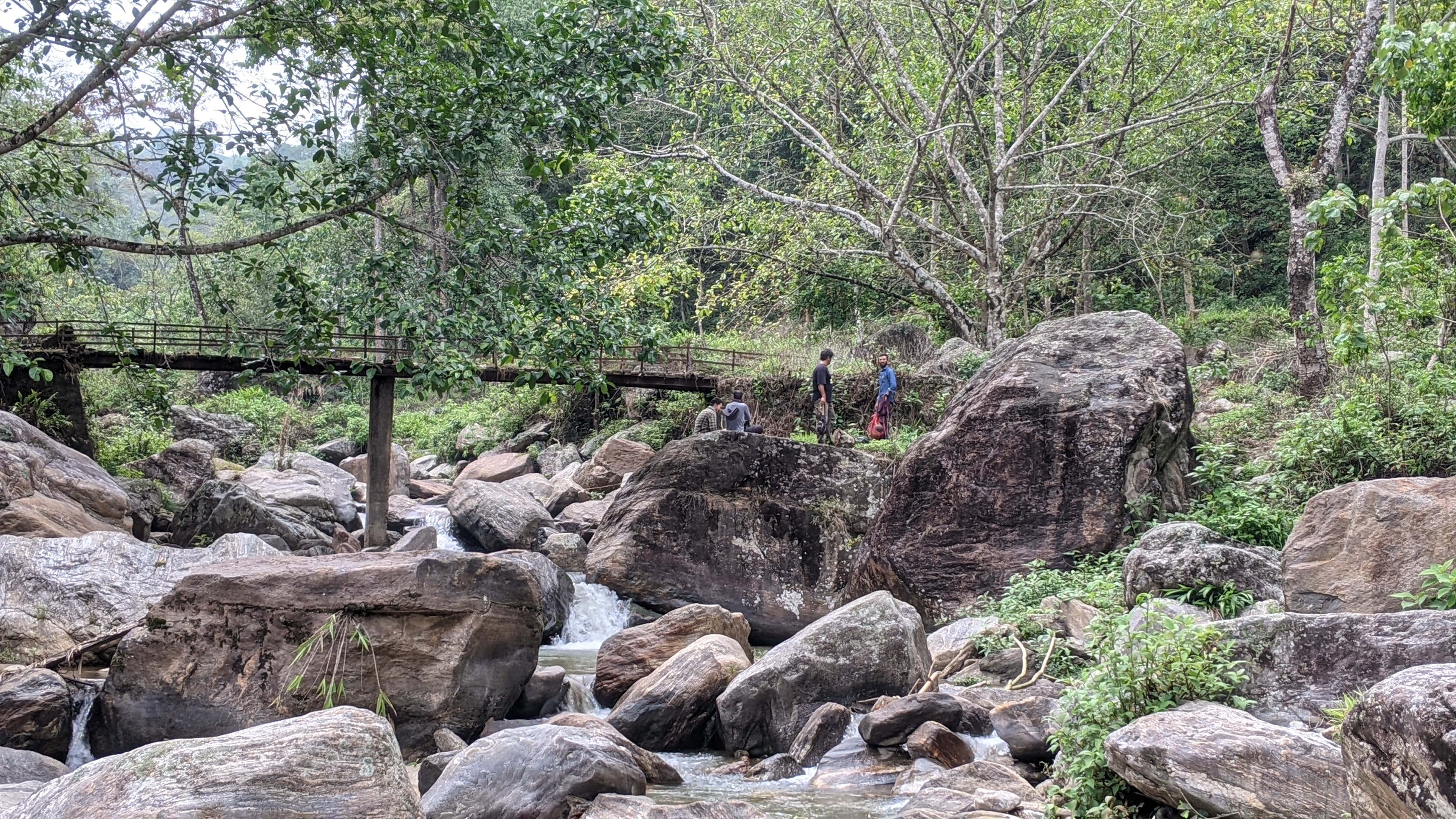 Indo-Nepal Border