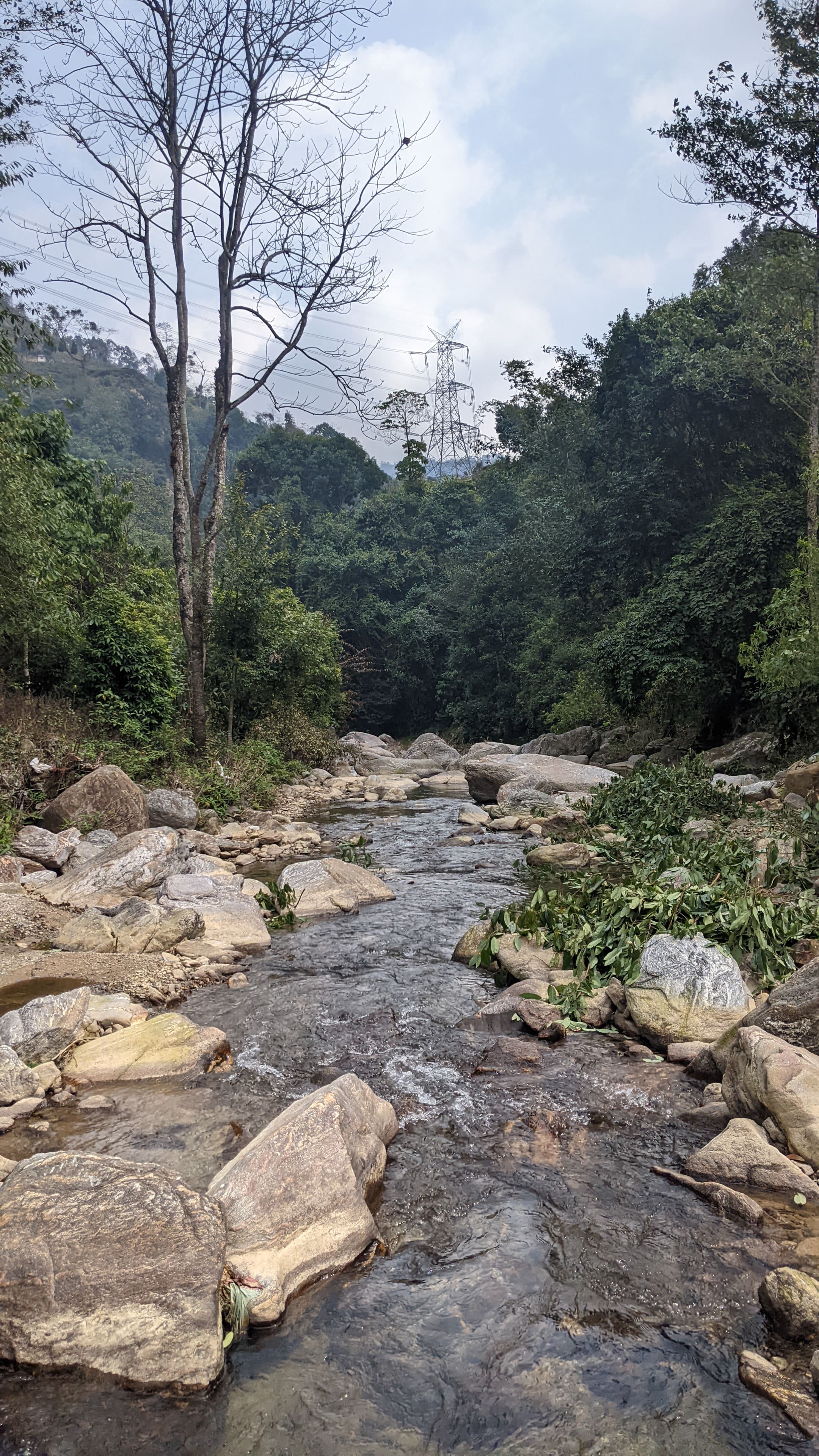 Hike & Picnic