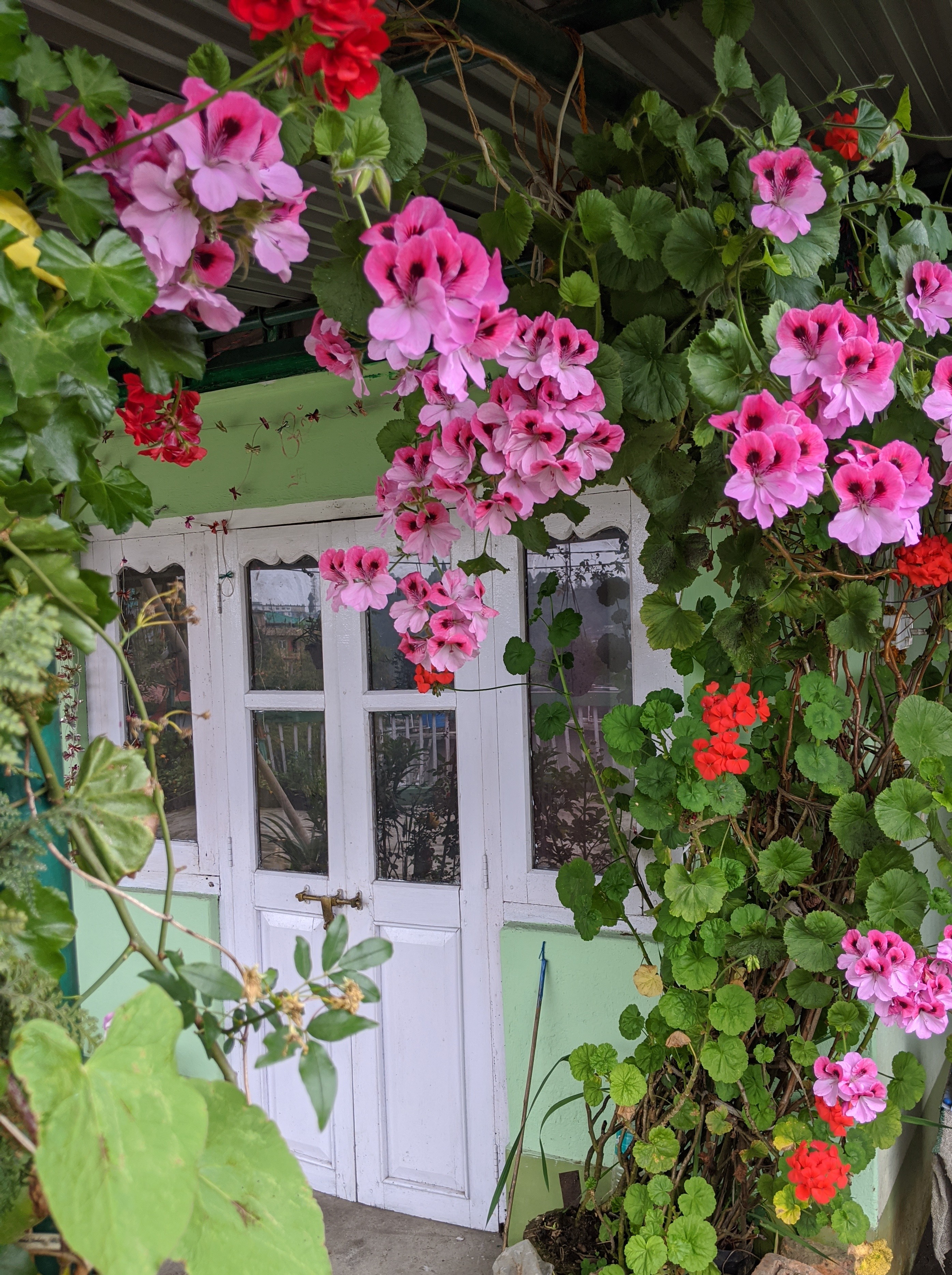 Haamro Ghar Gallery Image